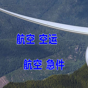 新源那拉提航空货运快递-选东方航空和上海航空
